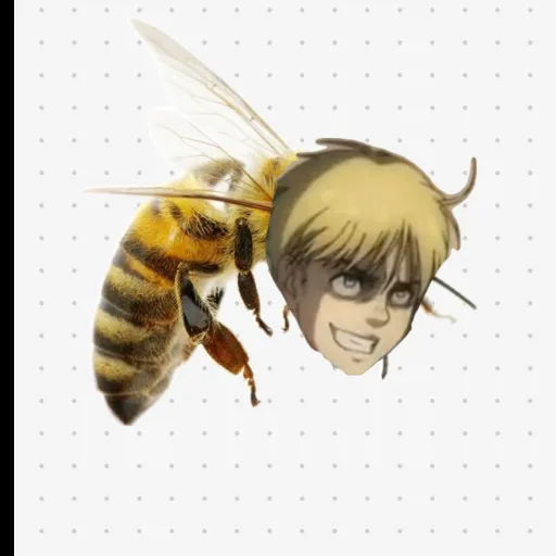 creator Armin the bee's avatar