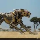 creator cheetor for life's avatar
