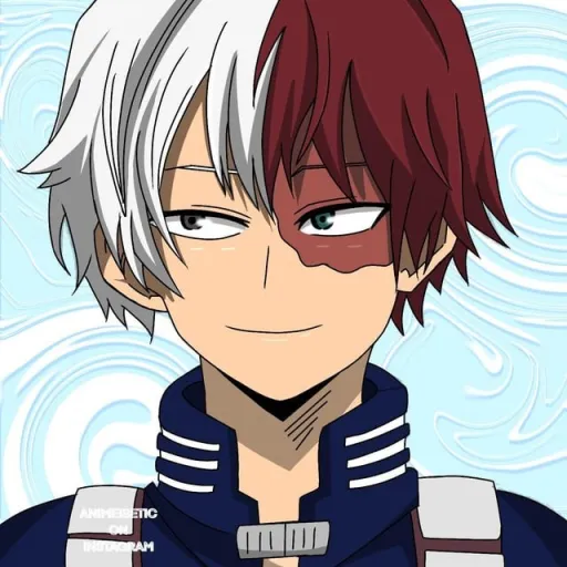 creator Shoto todoroki✨️✨️'s avatar