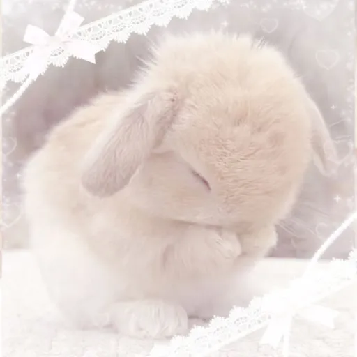 creator bunnie 🍓🍮☁️'s avatar
