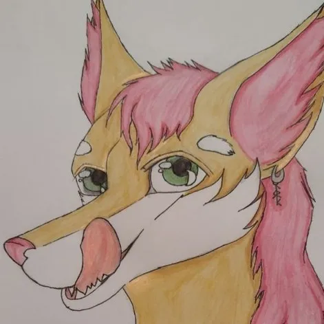 creator Feloua's avatar