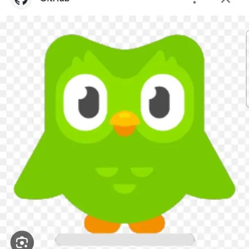 creator duolingo_offical's avatar