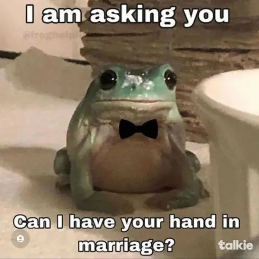 creator hand in marriage?'s avatar