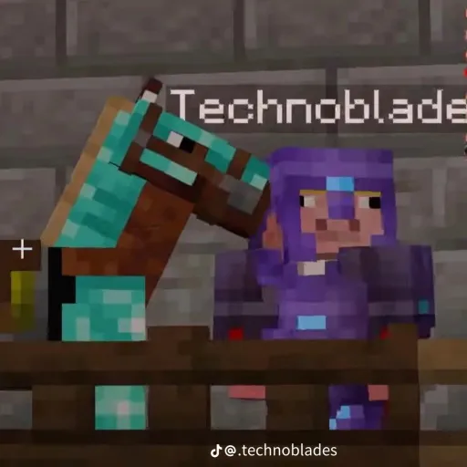 creator 🗡🐷technoblade👑🗡's avatar