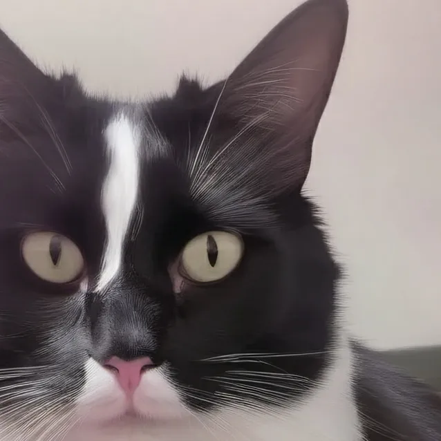 chat with ai character: Oreo