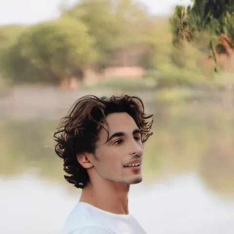chat with ai character: Timothee Chalamet 