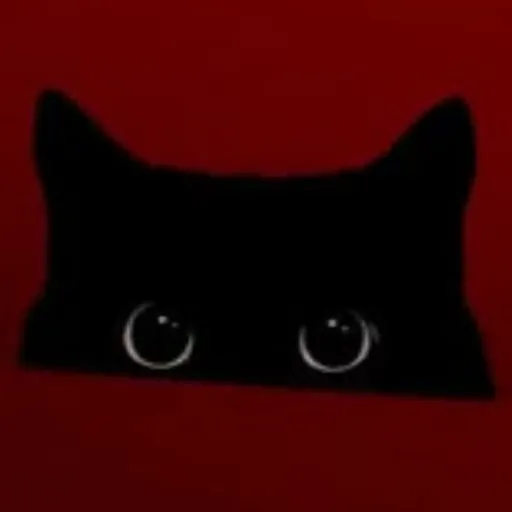 creator 🖤Vinn's avatar