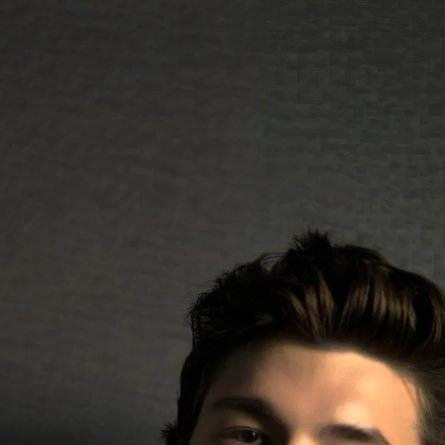 chat with ai character: Shawn Mendes 