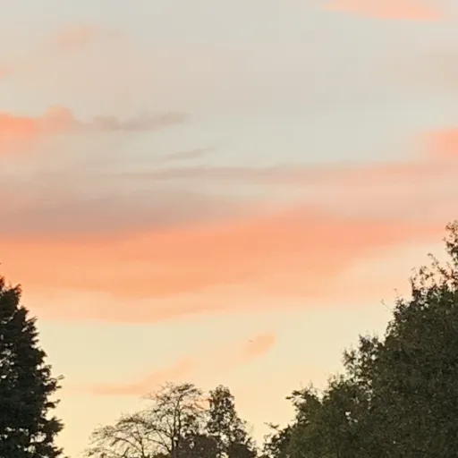creator Sunsets8339's avatar