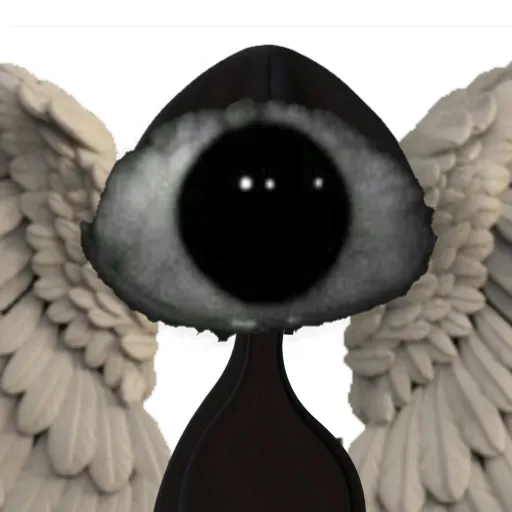 creator werigrjjf's avatar