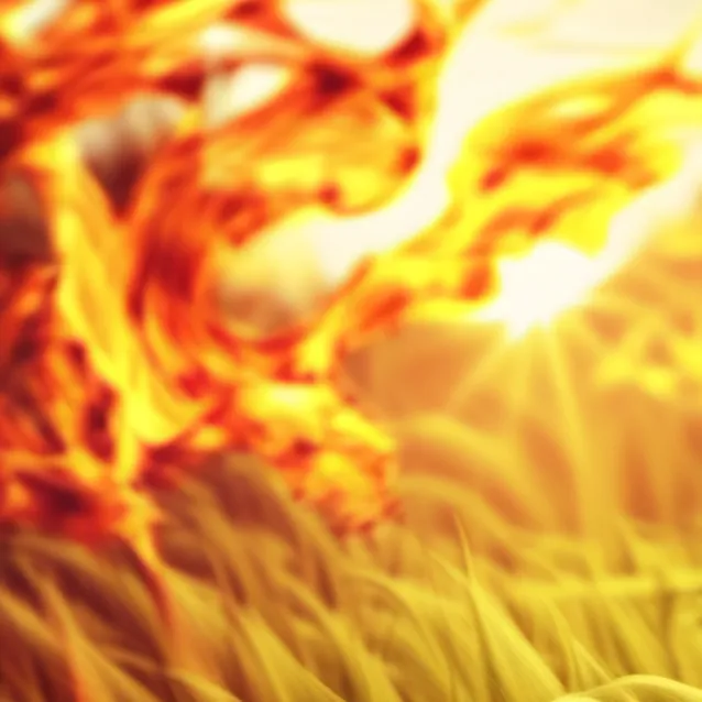 chat with ai character: fire