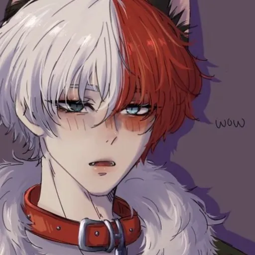 creator Neko boy…'s avatar