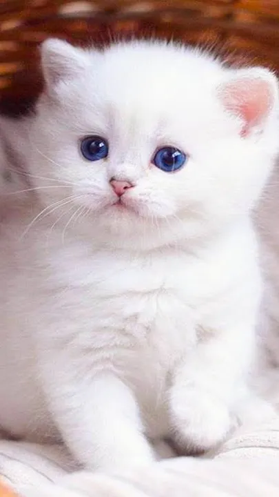 ai character: goody puppy background