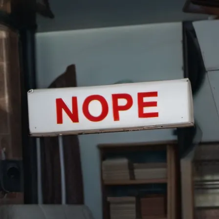 chat with ai character: Nope