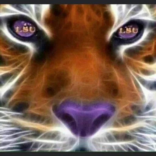 creator TigerBait's avatar
