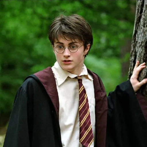 creator Harry, Potter's avatar