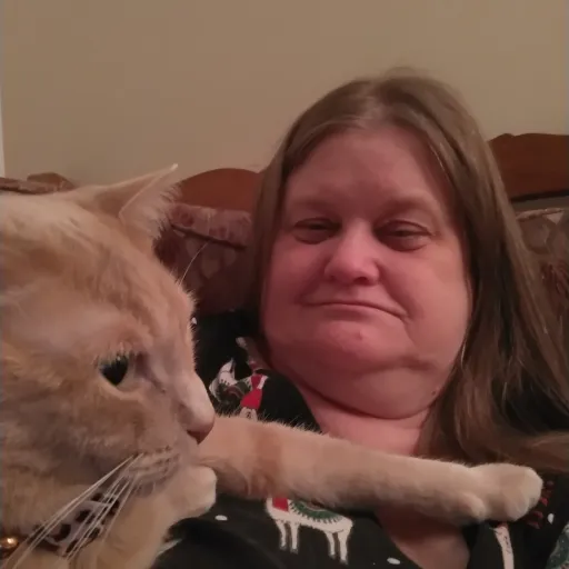 creator Lisetta Evelyn's avatar