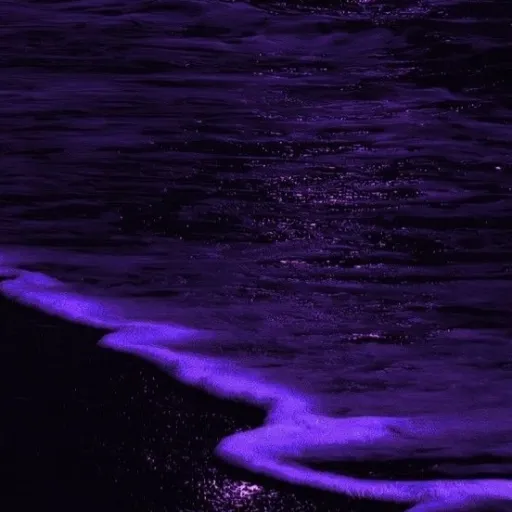 creator Lilly Sioux lane♡♡'s avatar