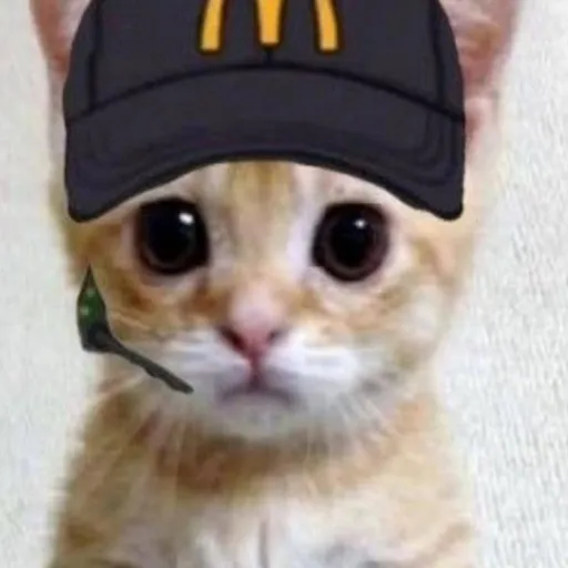 creator Kat mercado's avatar