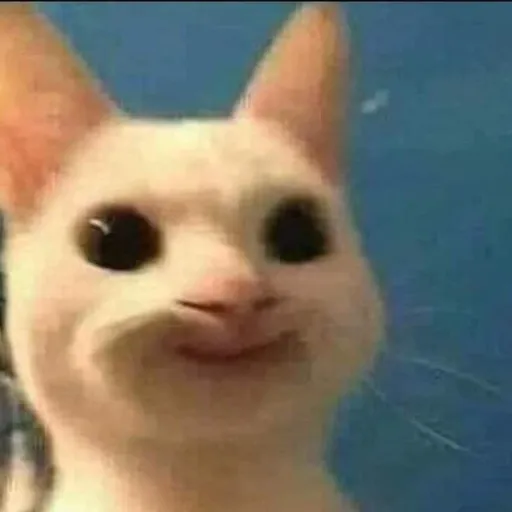 creator yiipppie's avatar