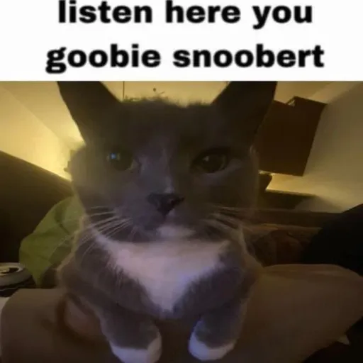 creator thebisexrat >:3's avatar
