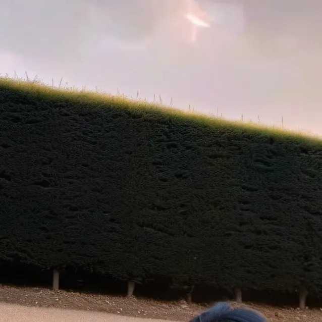 chat with ai character: Ellie 