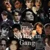 chat with ai character: Slytherin gang 