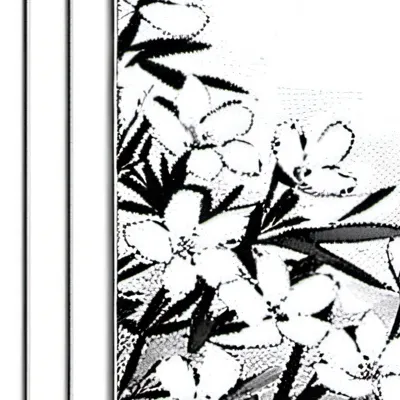 chat with ai character: Kinito and wavey