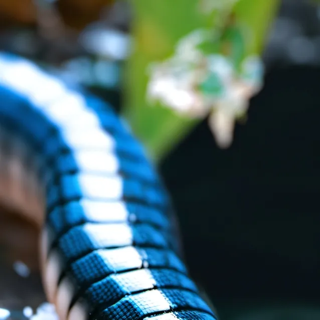 chat with ai character: gacha heat worm