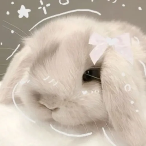 creator ~Gubbyy~'s avatar