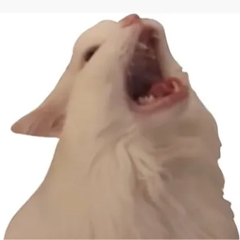 creator talkieofthecat's avatar