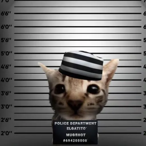 creator Federal-♡-Criminal's avatar