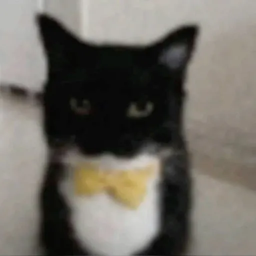 creator Teddy_Jody's avatar