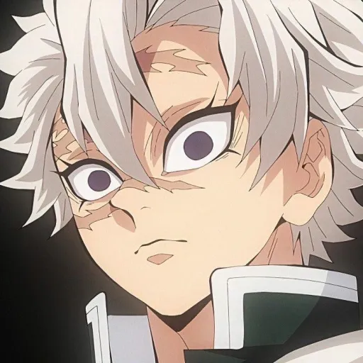 creator Sanemi.Shinazugawa's avatar