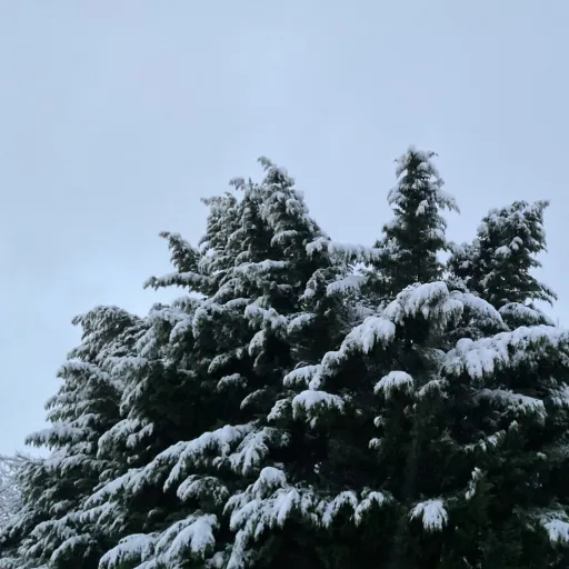 creator Elijahhhh💋's avatar