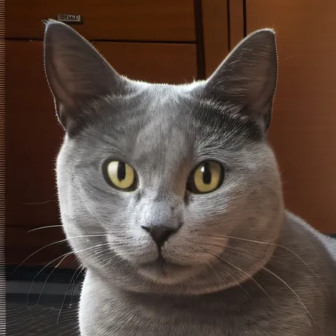 chat with ai character: Grandma cathy