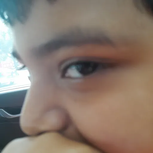 creator dinosaur REEEE's avatar