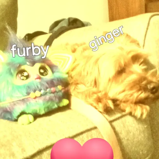 creator Gracie❤️🩷🧡💛💚💙🩵's avatar