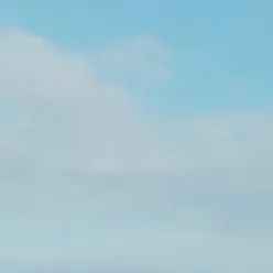 creator YXDYY's avatar