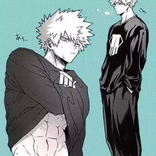 creator Bakugo=crush's avatar