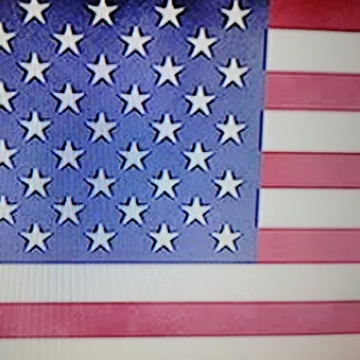 creator United States . jn's avatar