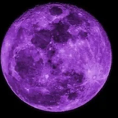 creator Purplemoon's avatar