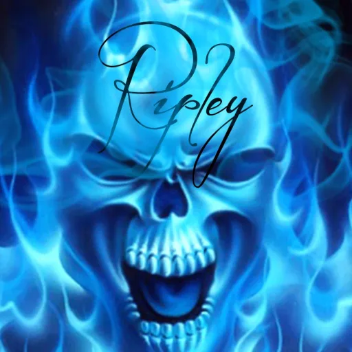 talkie's author avatar