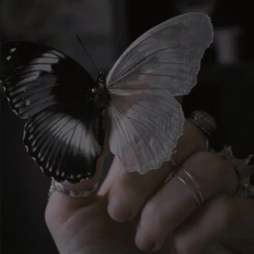 creator {•`Bl@nk_Sp@cë`•}'s avatar