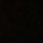creator Idk_tbh12334445556's avatar