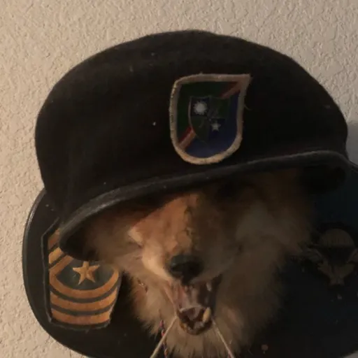 creator Ushankashenk's avatar