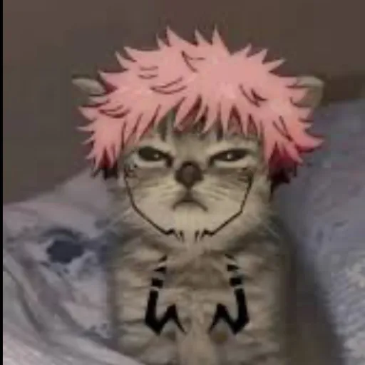 creator Kittykuna's avatar
