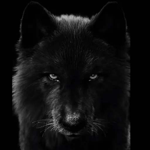 creator YouFavTalkieFriend's avatar