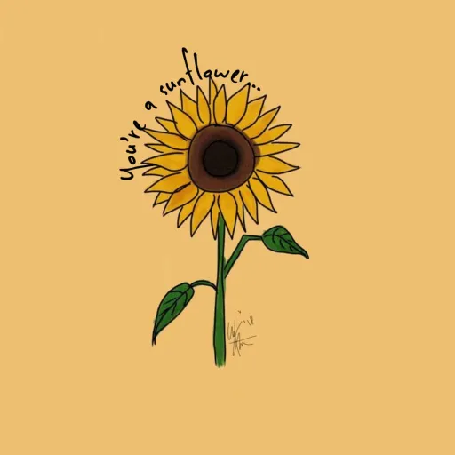 creator blossom4564's avatar