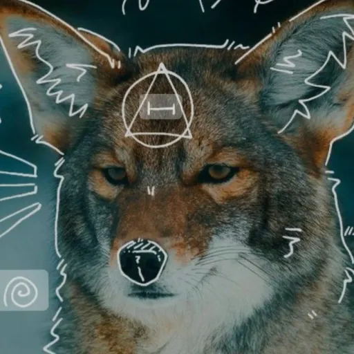 creator ~Cotton☆On☆Paws~'s avatar